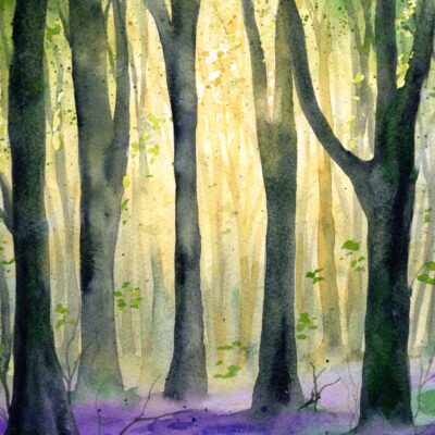img20260426_17360395 West Woods Sunrise, original watercolour