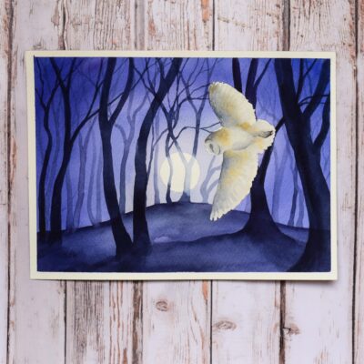 DSC_0006 Barn Owl by the Beech Clump, original watercolour