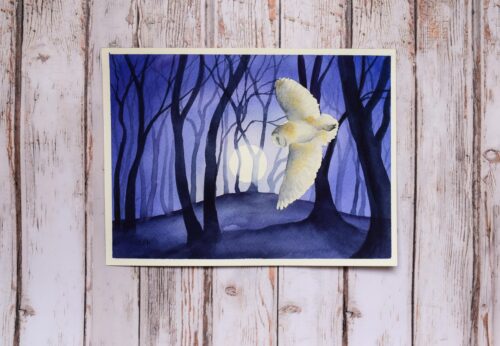 DSC_0006 Barn Owl by the Beech Clump, original watercolour