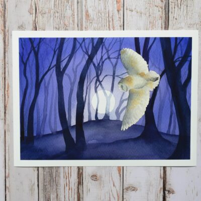 DSC_0007 Barn Owl by the Beech Clump, giclée print on paper, wildlife painting