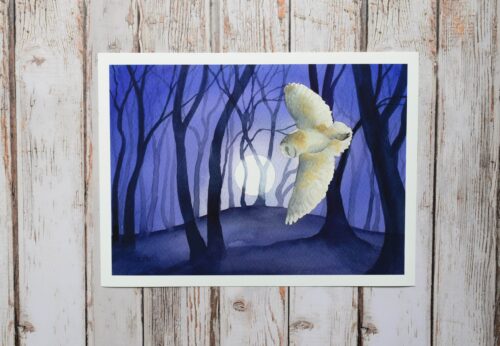 DSC_0007 Barn Owl by the Beech Clump, giclée print on paper, wildlife painting