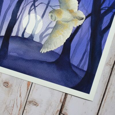DSC_0009 Barn Owl by the Beech Clump, giclée print on paper, wildlife painting