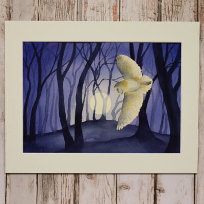 DSC_0010 Barn Owl by the Beech Clump, original watercolour