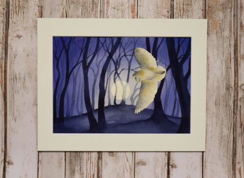 DSC_0010 Barn Owl by the Beech Clump, original watercolour