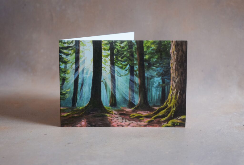 Light Through the Trees