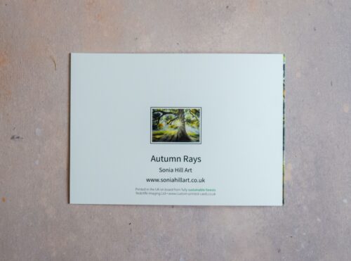 DSC_0031 Autumn Rays