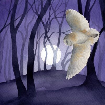 img20260604_10594217 Barn Owl by the Beech Clump, giclée print on paper, wildlife painting
