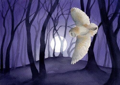 Barn Owl by the Beech Clump, giclée print on paper, wildlife painting