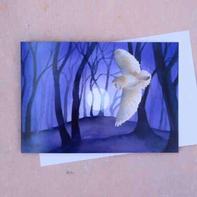 DSC_0001 Barn Owl by the Beech Clump