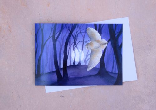 DSC_0001 Barn Owl by the Beech Clump