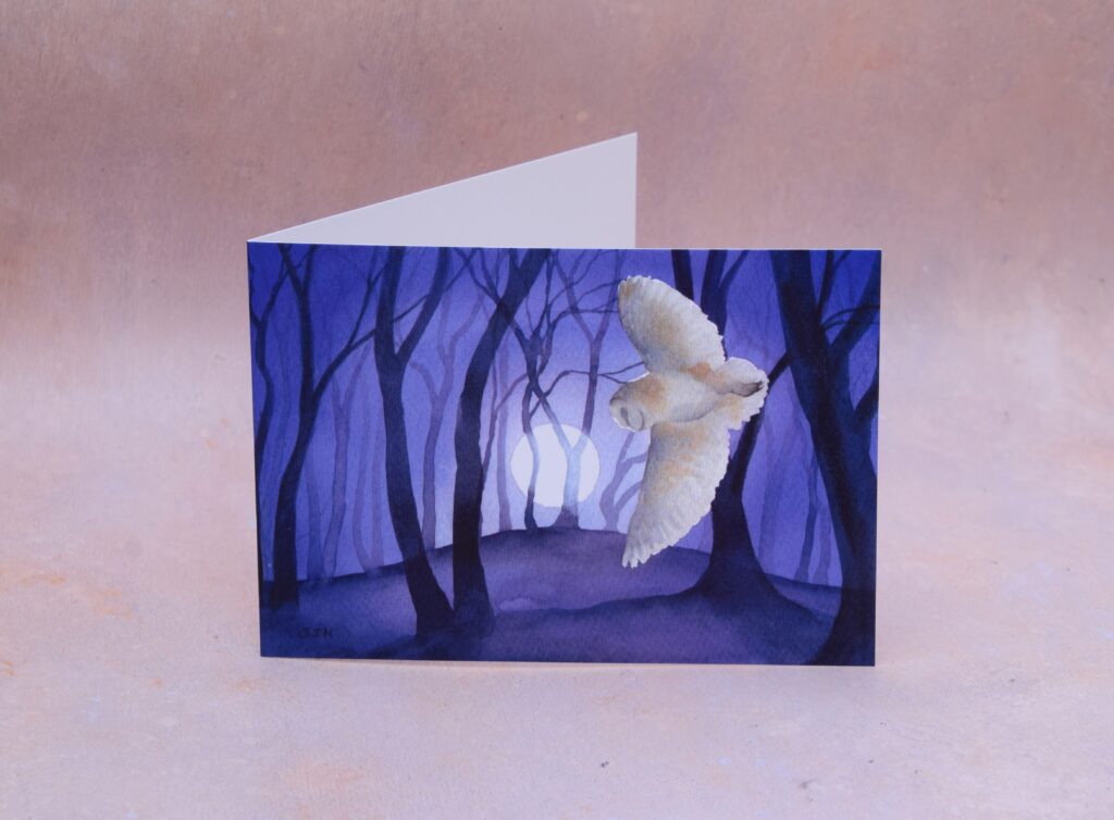 Barn Owl by the Beech Clump