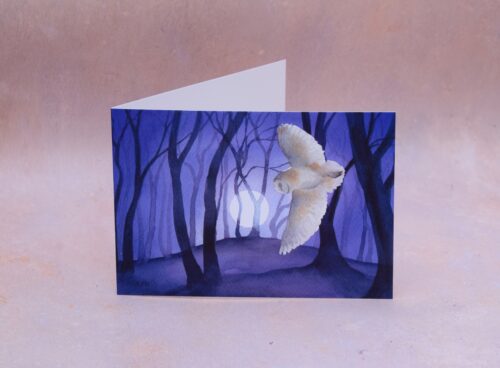 DSC_0004 Barn Owl by the Beech Clump