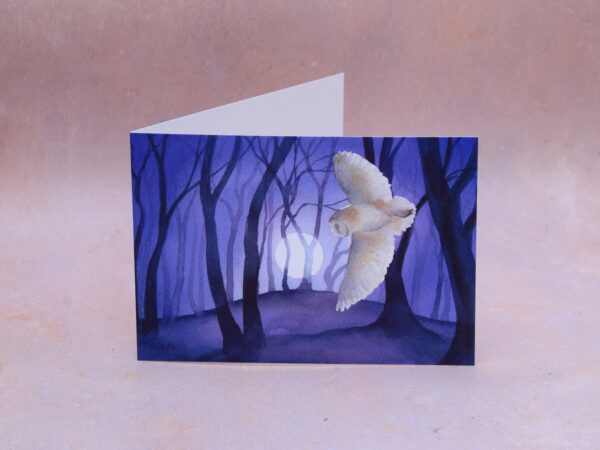 Barn Owl by the Beech Clump