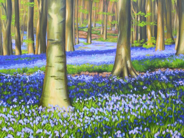 Bluebells v3 Evening Bluebells in West Woods, Marlborough, Wiltshire, original acrylic on stretched canvas, 24x30 inches
