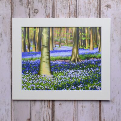 Evening Bluebells in West Woods, Marlborough, giclée print on paper or stretched canvas