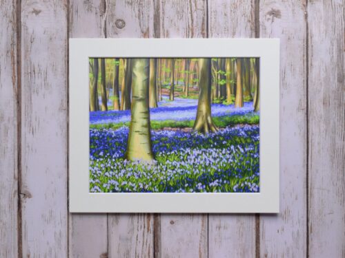 Evening Bluebells in West Woods, Marlborough, giclée print on paper or stretched canvas
