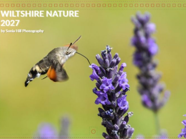 2027 Wiltshire Nature charity calendar