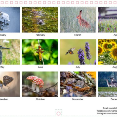 Screenshot 2026-09-02 200817 2027 Wiltshire Nature charity calendar